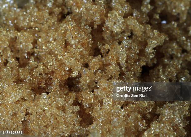 close up of granulated brown sugar in full frame - molasses stock pictures, royalty-free photos & images