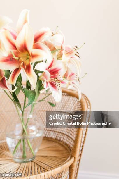 creamy yellow & bright hot pink easter lily flowers in a glass vase on a boho vintage rattan peacock chair indoors with a cream-colored background with copy space in bright natural light from a window - easter lily stock pictures, royalty-free photos & images