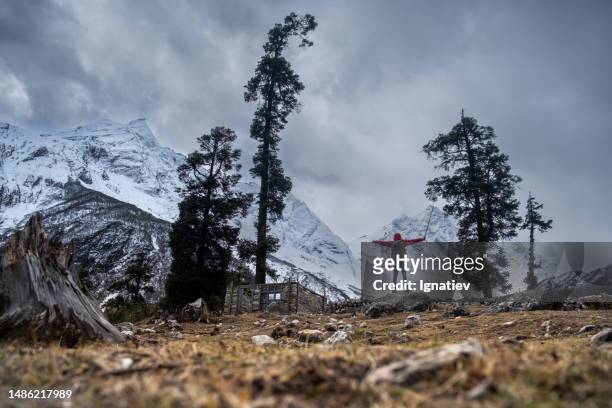 ein mann wirft die hände vor der kulisse der berge nepals in die höhe - icepick stock-fotos und bilder