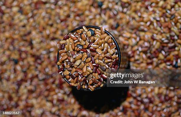 beans at a market stall in dili. - dili stock pictures, royalty-free photos & images