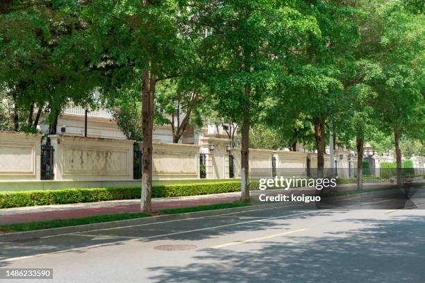 urban asphalt road and green trees - grüner gürtel mode stock-fotos und bilder