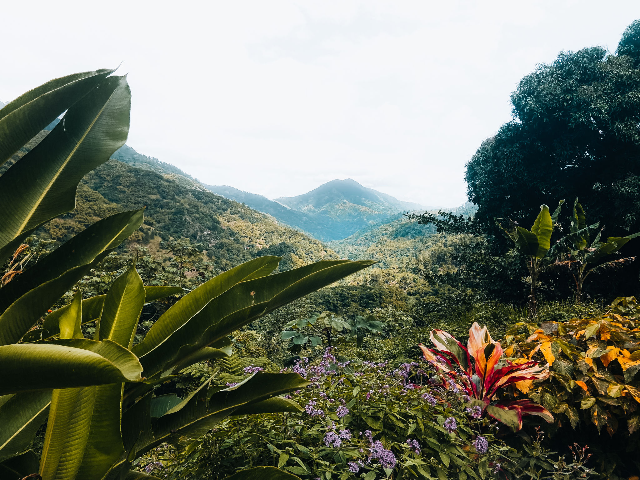 mountain picnic Jamaica