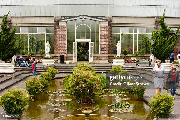 auckland domain. - public domain stockfoto's en -beelden