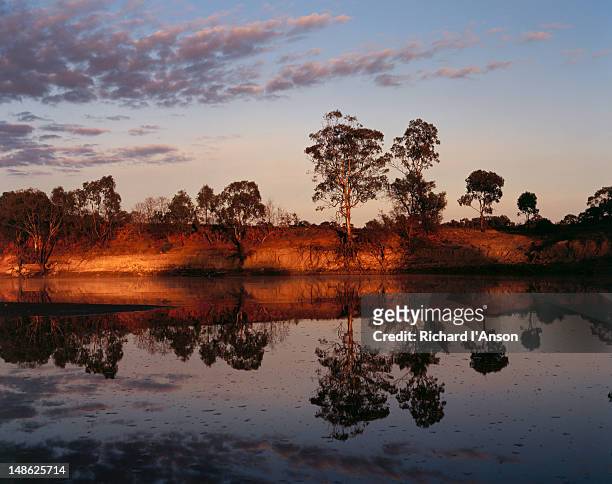 sunset over the murray river - murray-kulkyne state park, victoria - murray river stock pictures, royalty-free photos & images