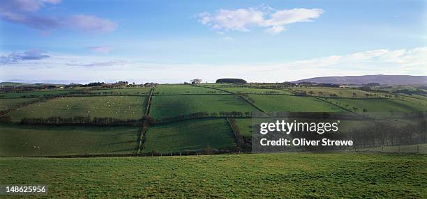 farmland on antrim coastline south of ballycastle. - ballycastle stock pictures, royalty-free photos & images