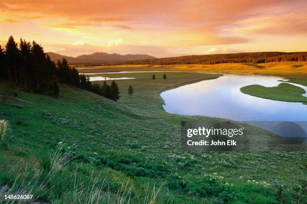 the yellowstone river meanders through the hayden valley at sunset - yellowstone national park, wyoming - yellowstone photos et images de collection