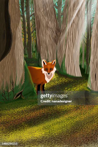 the red fox in the forest.jpg - copse stock illustrations