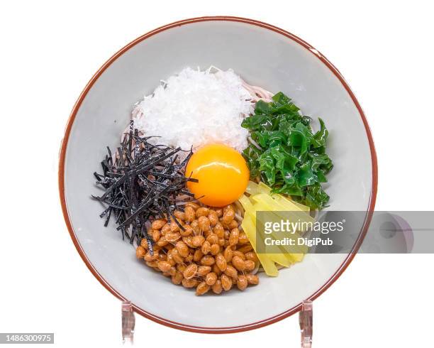 buckwheat soba noodles food modle - yokohama bildbanksfoton och bilder