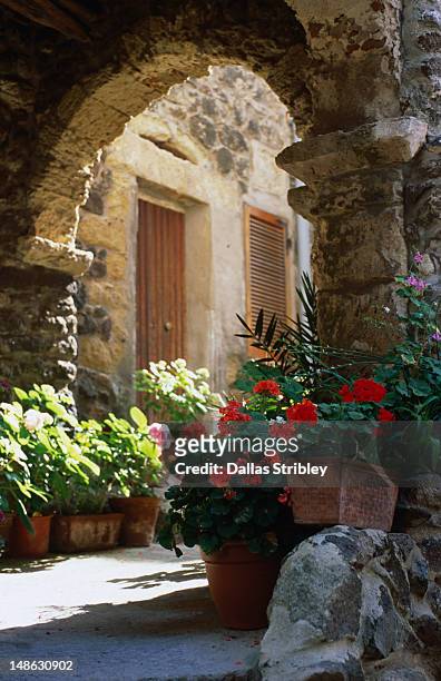 streetscenes with geraniums in the medieval hilltop town of castelsardo. - sardinien stock-fotos und bilder