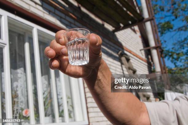 toasting with a glass of vodka. - spiritueux photos et images de collection