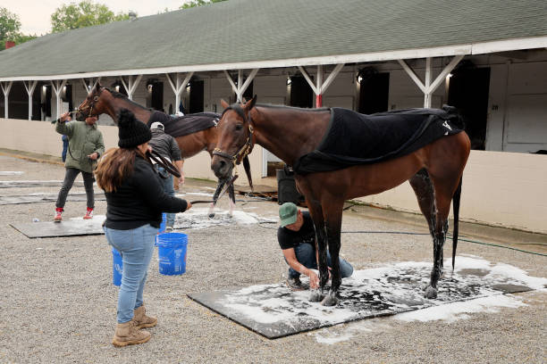 Kingsbarns is washed during the morning training for the Kentucky Derby at Churchill Downs on April 29, 2023 in Louisville, Kentucky.