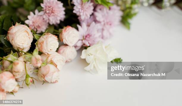 beautiful flowers on white background - freesia bouquet stock pictures, royalty-free photos & images