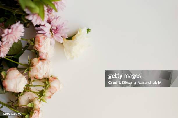 beautiful flowers on white background - freesia bouquet stock pictures, royalty-free photos & images