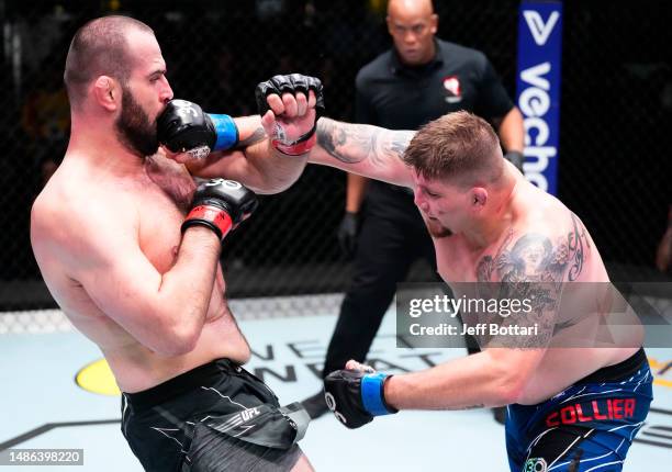 Ufc Jake Jake Apex Photos and Premium High Res Pictures - Getty Images