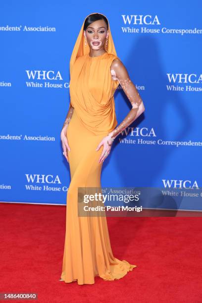 Winnie Harlow attends the 2023 White House Correspondents' Association Dinner at Washington Hilton on April 29, 2023 in Washington, DC.