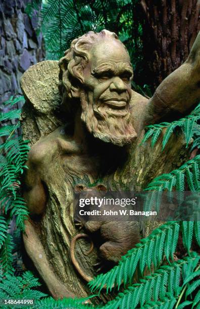 William Rackets William Ricketts Photos and Premium High Res Pictures - Getty Images
