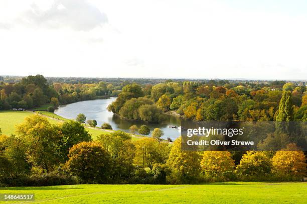 the thames, richmond. - richmond upon thames stockfoto's en -beelden