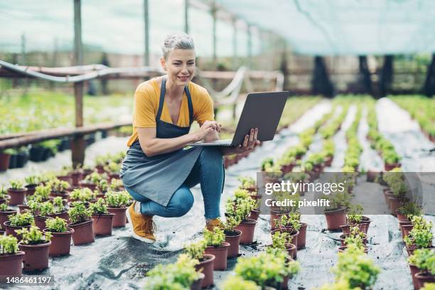 controllare la crescita delle piantine - orticoltura foto e immagini stock