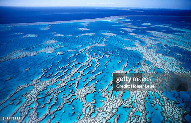 aerial of great barrier reef, near whitsunday islands. - recife fenômeno natural - fotografias e filmes do acervo