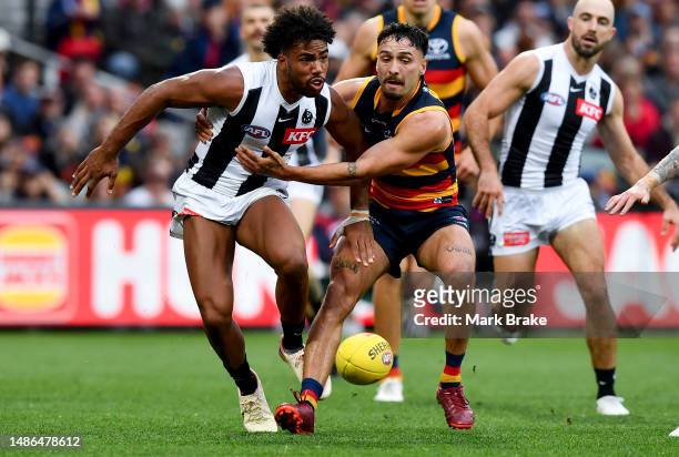 Izak Rankine of the Crows competes with Isaac Quaynor of the Magpies during the round seven AFL match between Adelaide Crows and Collingwood Magpies...