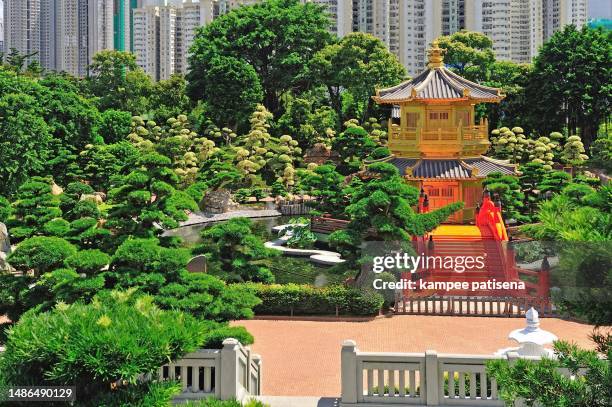 arch bridge and pavilion in nan lian garden, hong kong. - classical chinese garden fotografías e imágenes de stock