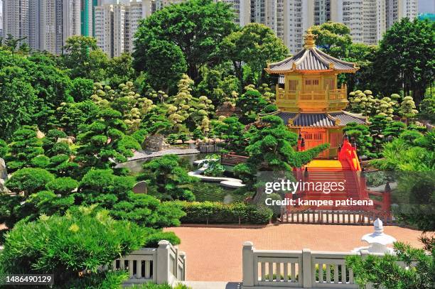 arch bridge and pavilion in nan lian garden, hong kong. - oriental garden stock pictures, royalty-free photos & images