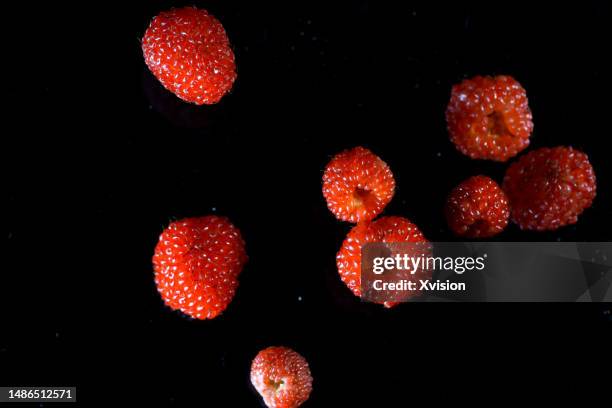 Dark Background Image Raspberry Raspberry Black Background Photos and Premium High Res Pictures - Getty ...
