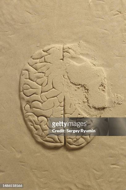 deformed brain made of sand - head in sand stock-fotos und bilder