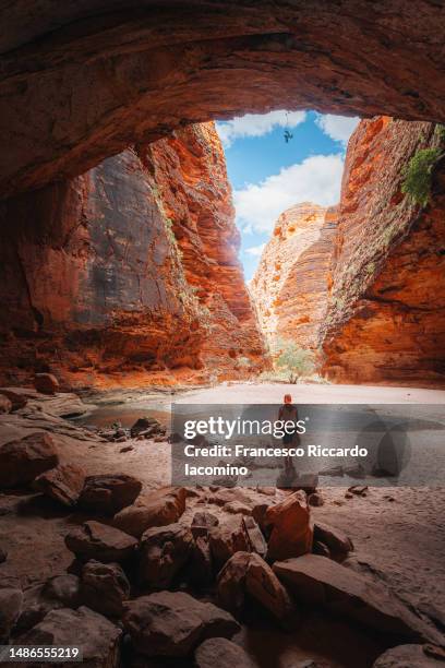 purnululu national park, western australia. tourist at cathedral gorge - western australia fotografías e imágenes de stock