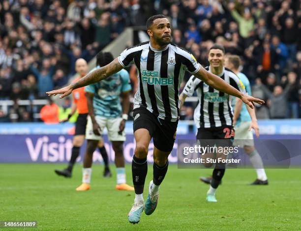 Callum Wilson of Newcastle United celebrates a goal but is later disallowed during the Premier League match between Newcastle United and Southampton...