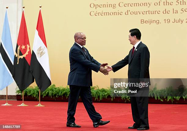 South African President Jacob Zuma shakes hands with Chinese president Hu Jintao prior to a group photo session for the 5th Ministerial Conference of...