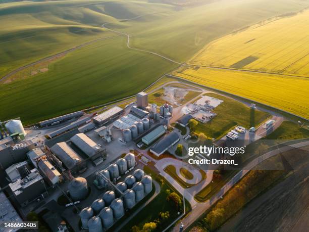 bioeconomia nelle zone rurali, fabbrica nell'economia agricola - colza foto e immagini stock