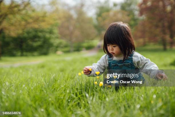 cute asian toddler exploring nature - catching bugs stock pictures, royalty-free photos & images