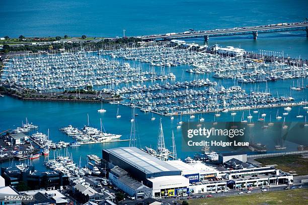 view from auckland sky tower over westhaven marina. - auckland waterfront stock pictures, royalty-free photos & images