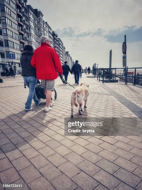 paseando por el dique marino en middelkerke, bélgica - cultura belga fotografías e imágenes de stock