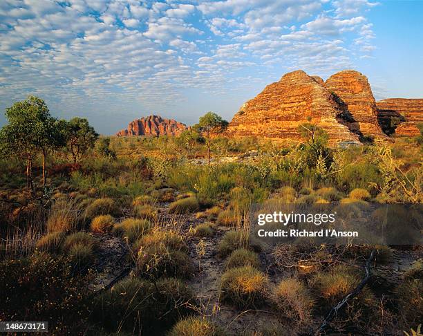 bungle bungles. - bungle bungle range stock pictures, royalty-free photos & images