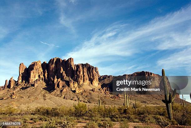 mountains with cacti in the foreground. - superstition mountains fotografías e imágenes de stock