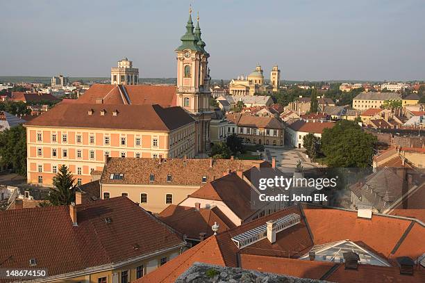 downtown overlook with minorite church. - jager foto e immagini stock