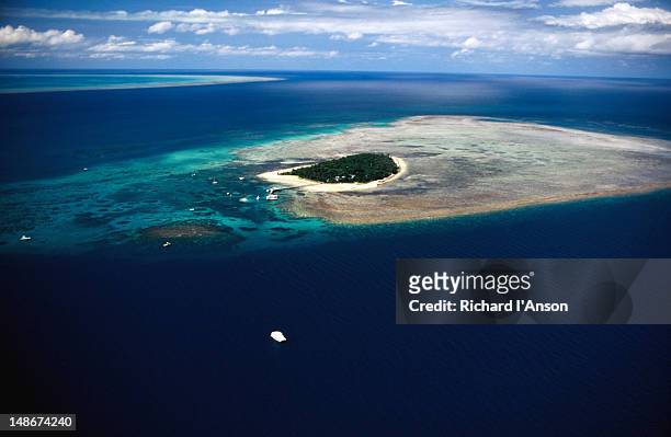 aerial of green island. - great barrier reef aerial ストックフォトと画像