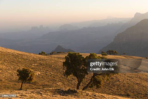simien escarpment landscape. - etiopia foto e immagini stock