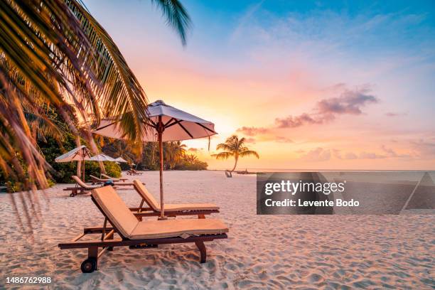 amazing sunset beach. romantic couple chairs umbrella. tranquil togetherness love concept scenery, relax beach, beautiful landscape design. getaway tropical island shore, palm leaves, idyllic sea view - outdoor chair stock pictures, royalty-free photos & images