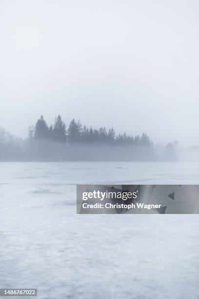 nebel und see - tirol nebel stock pictures, royalty-free photos & images