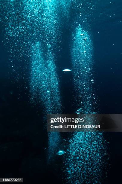 blowing up bubbles from the bottom of the sea - lowest stockfoto's en -beelden