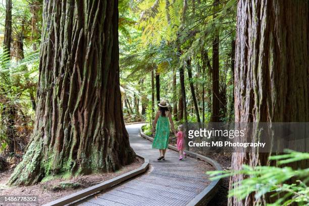mother and daughter at redwoods - rotorua stock pictures, royalty-free photos & images