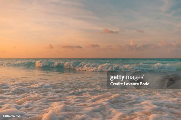 sunset sea landscape. colorful ocean beach sunrise. beautiful beach scenery with calm waves and soft sandy beach. empty tropical landscape, horizon with scenic coast view. colorful nature sea sky - indiska oceanen bildbanksfoton och bilder