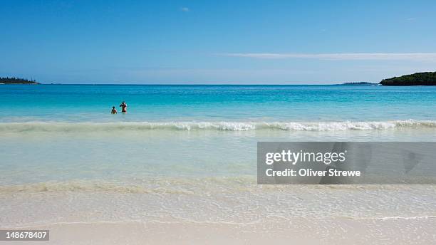 swimming in tropical water of kuto beach, baie de kuto. - neukaledonien stock-fotos und bilder