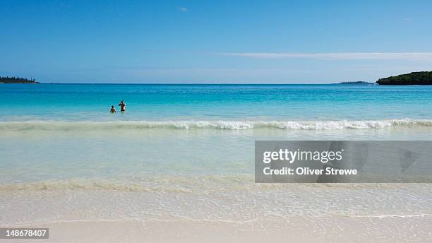 swimming in tropical water of kuto beach, baie de kuto. - new caledonia stock pictures, royalty-free photos & images