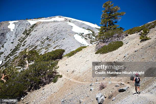 hike up to mount baldy in the san gabriel mountains. - mount baldy stock pictures, royalty-free photos & images