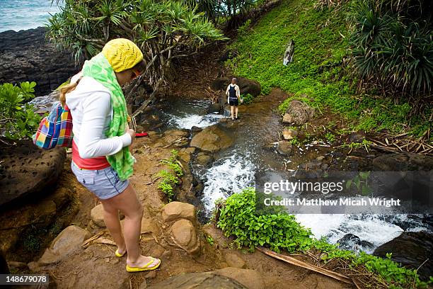 people hiking to queens bath salt water pools. - princeville stock pictures, royalty-free photos & images