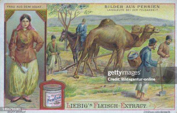 Picture series pictures from Persia, peasants working in the fields with a camel team and a woman from the people, digitally restored reproduction of...